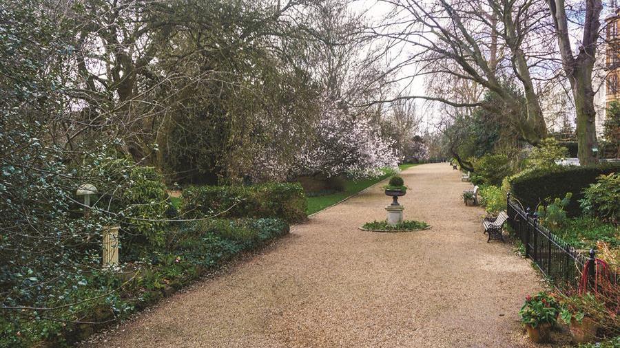 Communal Garden