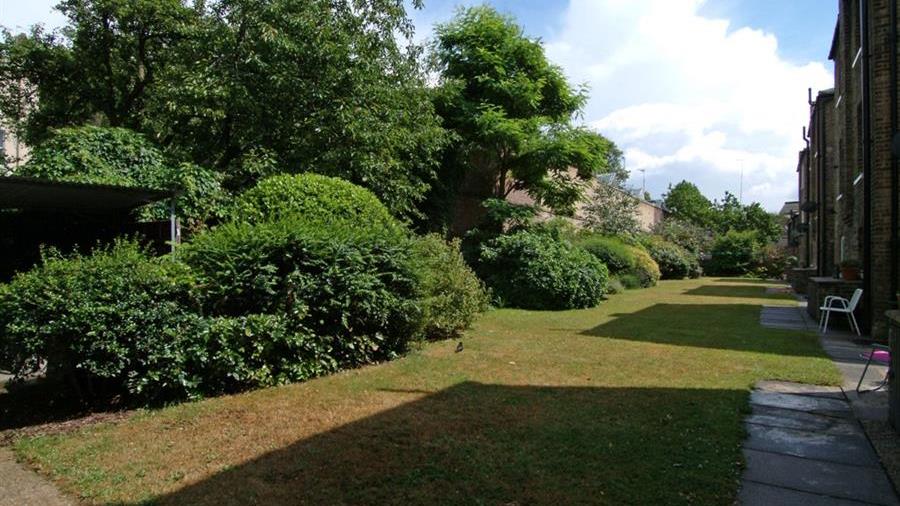 Communal Garden