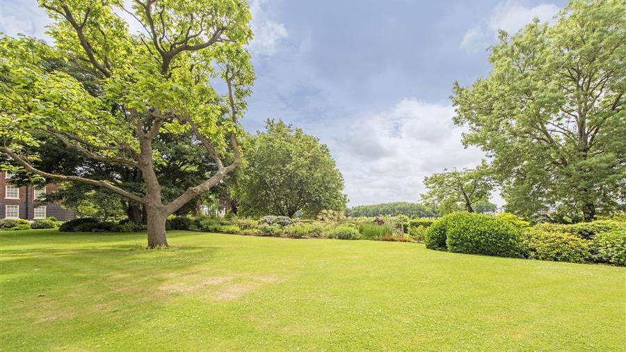 Communal Garden