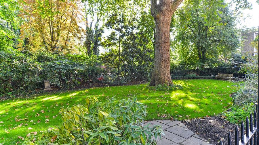 Communal Garden