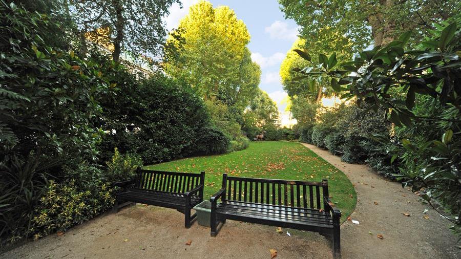Communal Garden