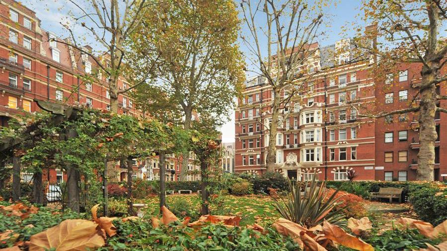 Communal Garden