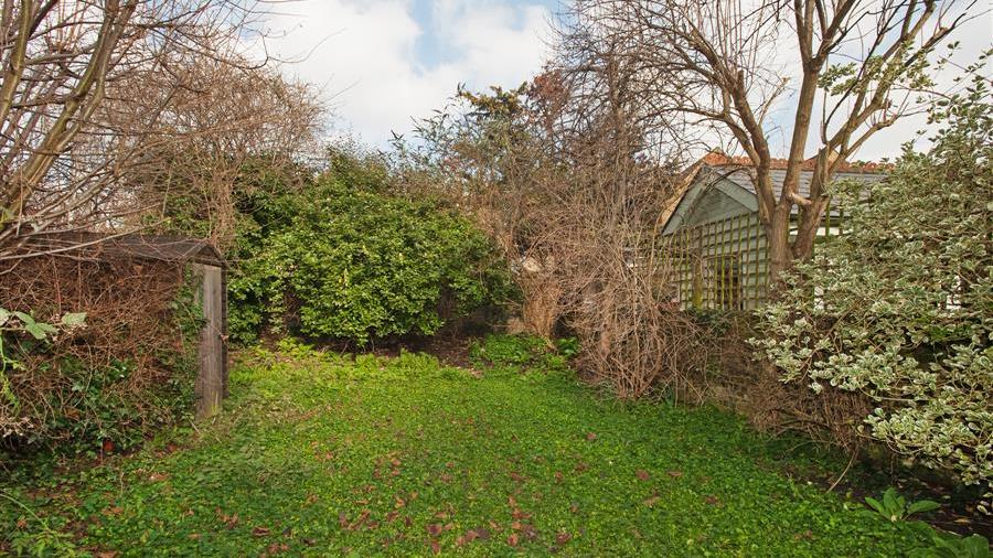 Communal Garden