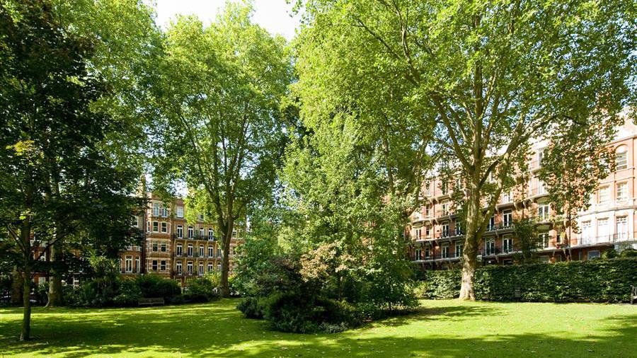 Communal Garden