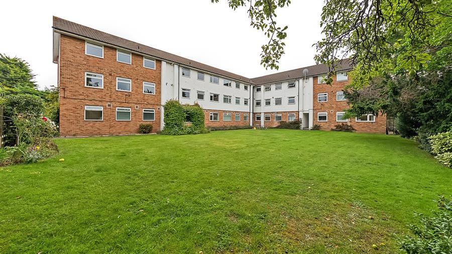 Communal Garden
