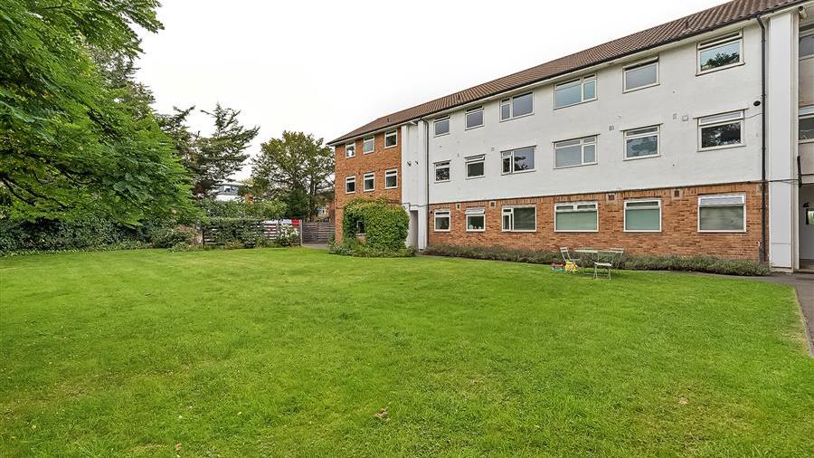 Communal Garden