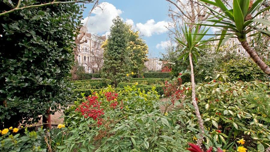 Communal Garden