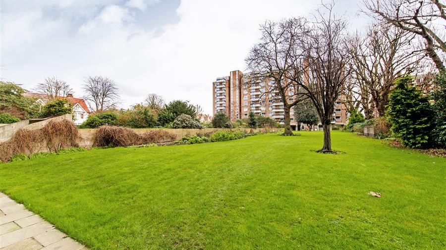 Communal Garden