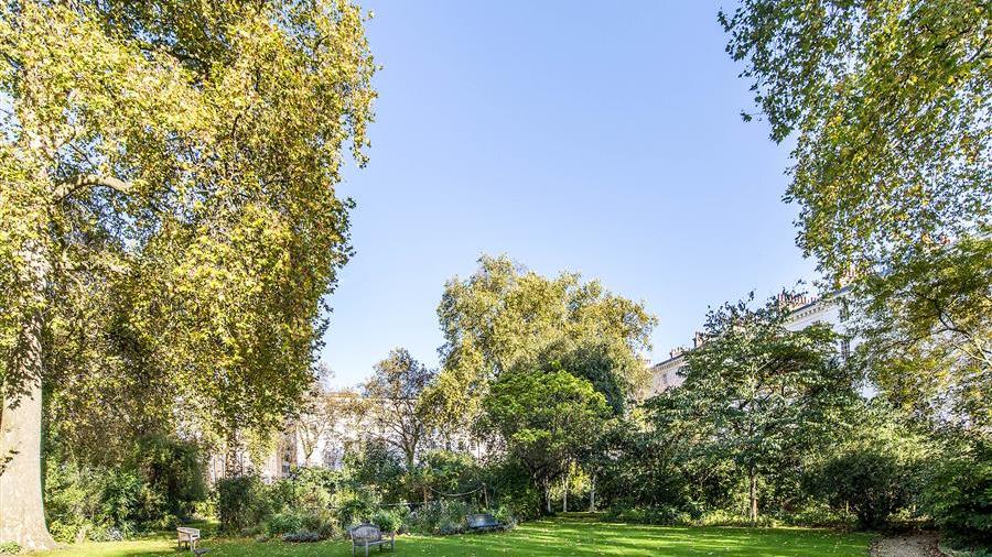 Communal Garden