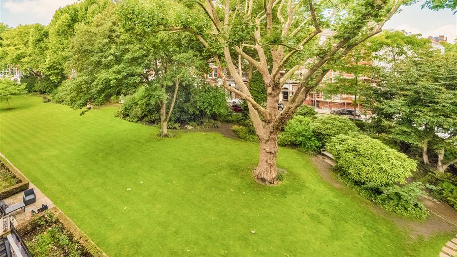 Communal Garden