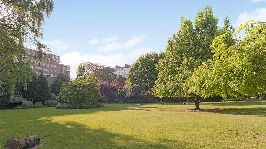 Communal Garden