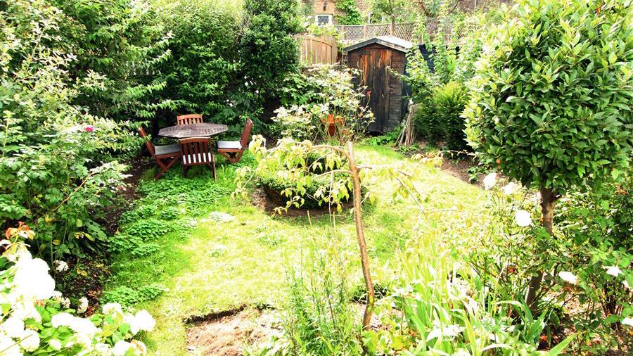 Communal Garden