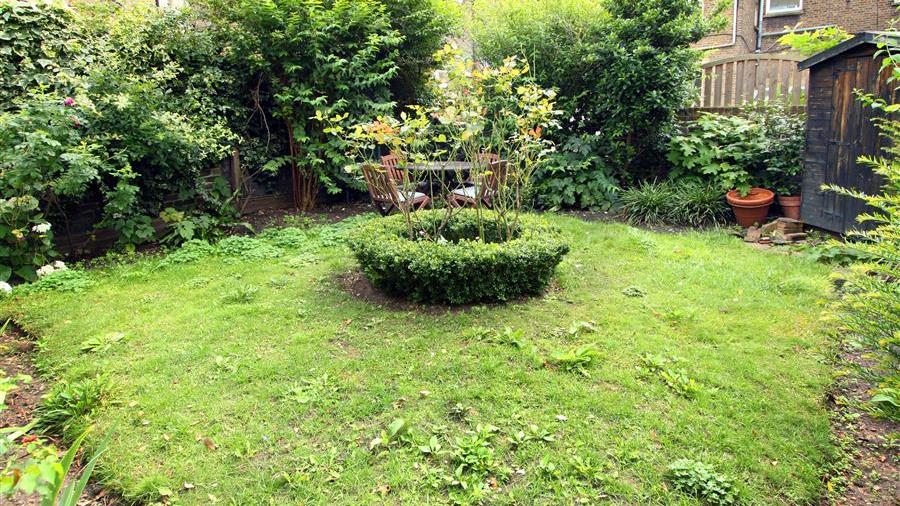 Communal Garden