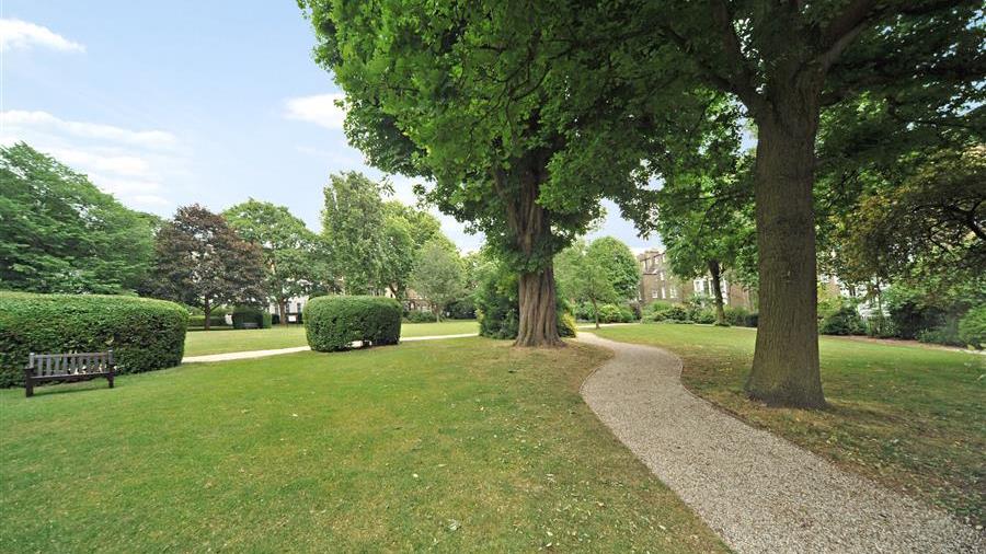 Communal Garden