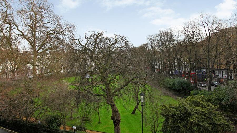 Communal Garden