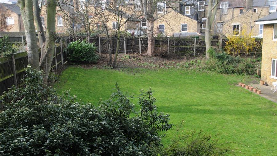 Communal Garden