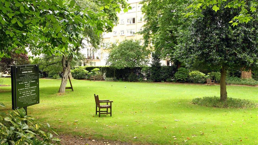 Communal Garden