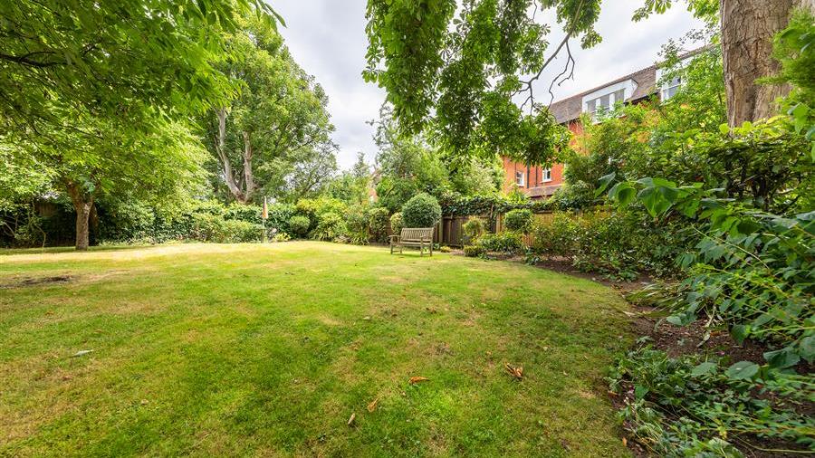 Communal Garden