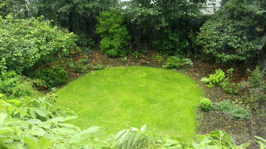 Communal Garden