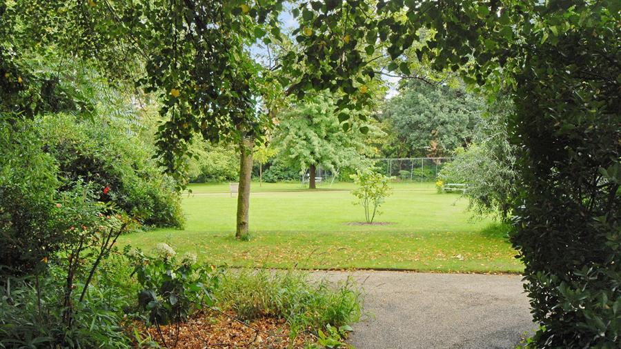 Communal Garden
