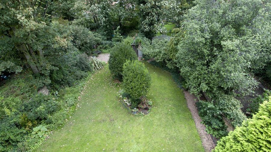 Communal Garden