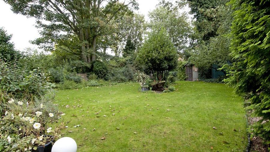 Communal Garden