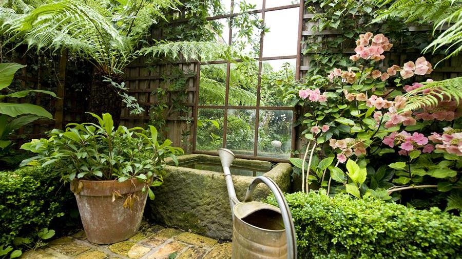 Garden