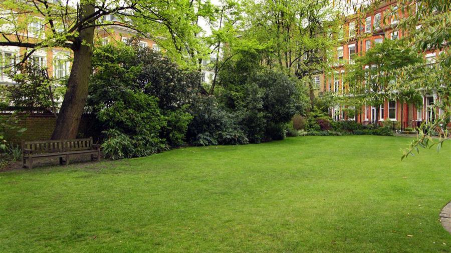 Communal Garden