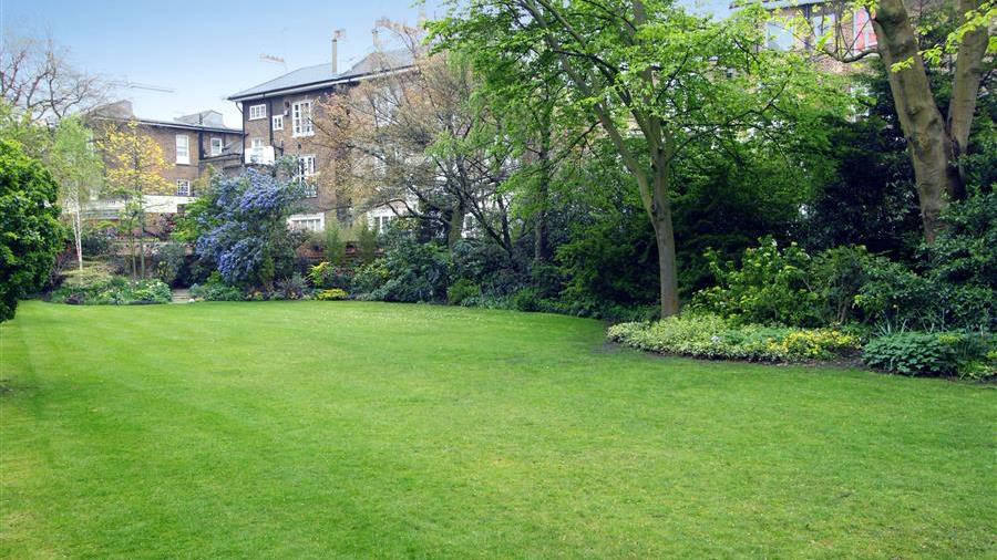 Communal Garden