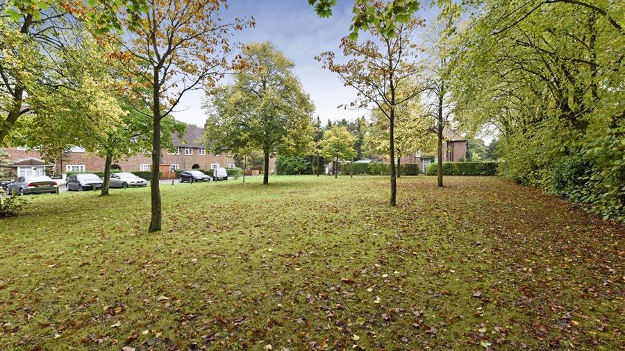 Communal Garden