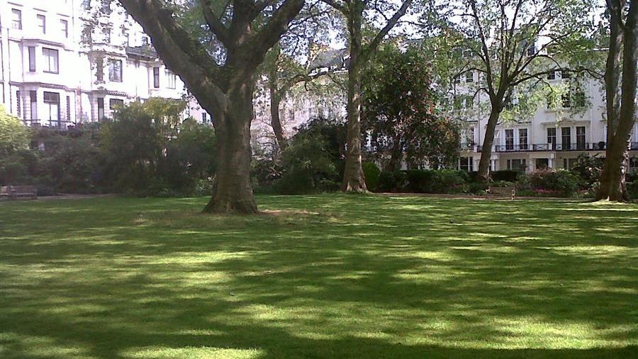 Communal Garden