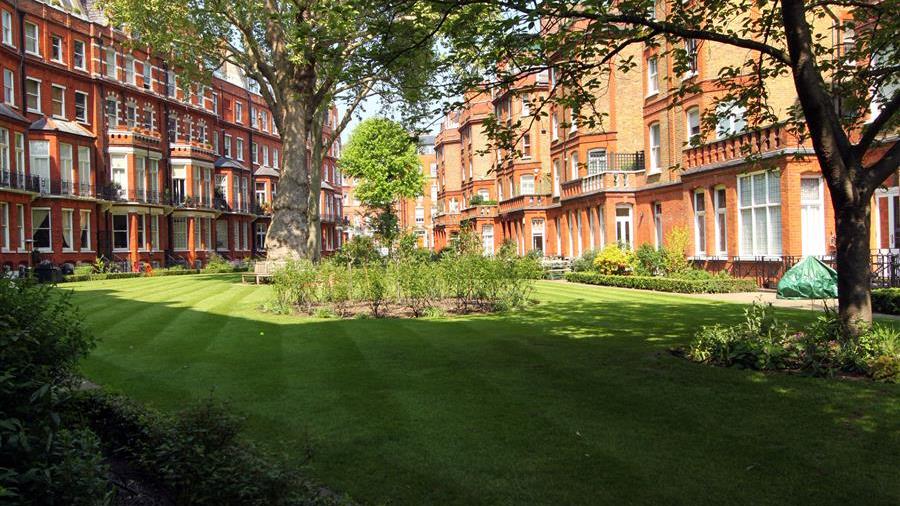 Communal Garden