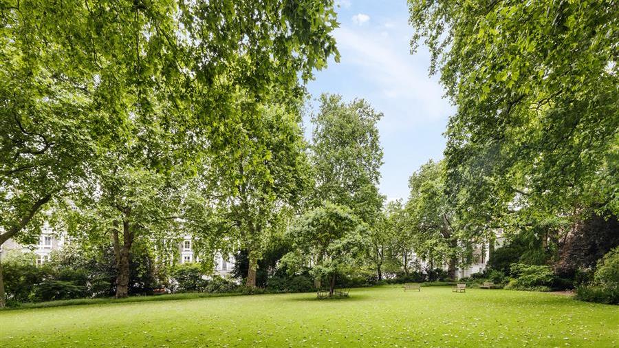 Communal Garden