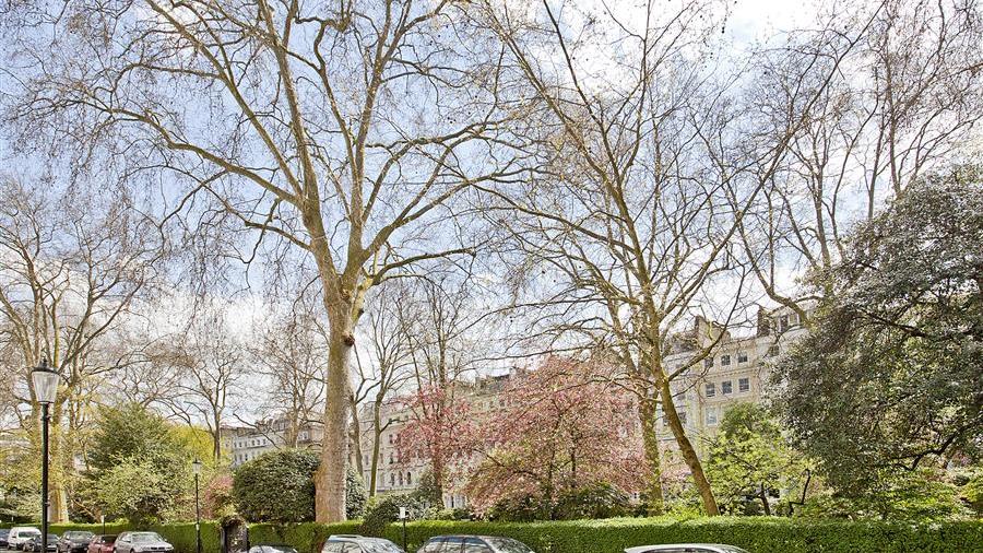Communal Garden