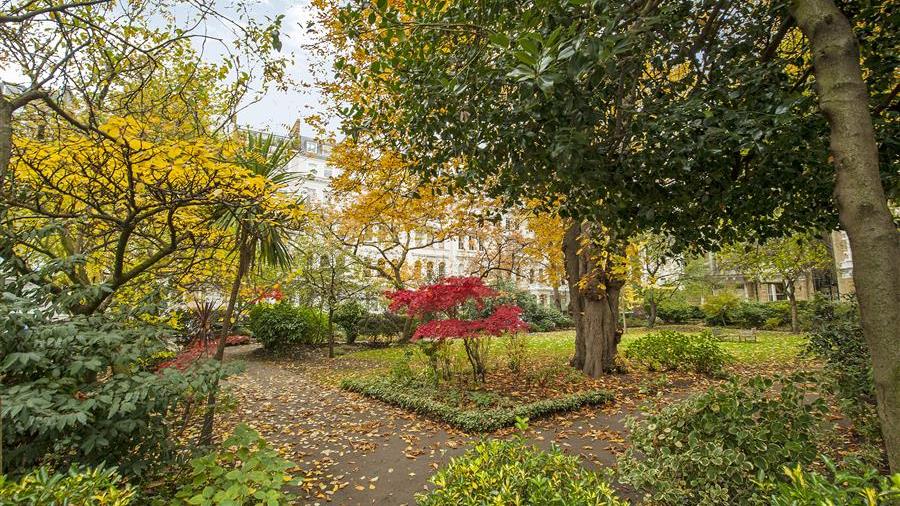 Communal Garden