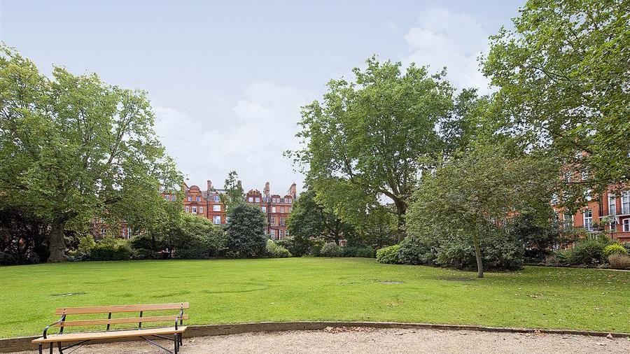 Communal Garden