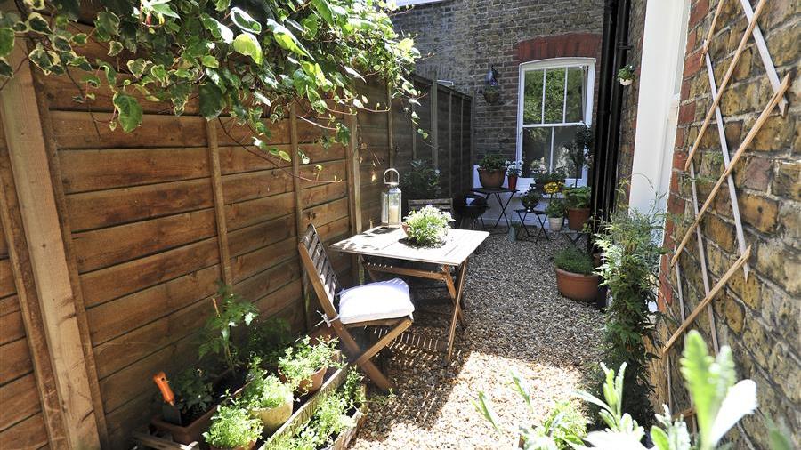 Garden
