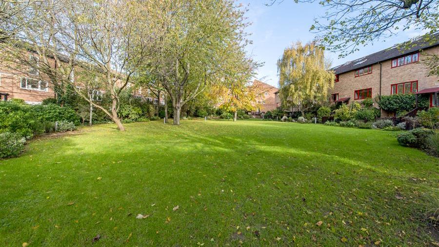 Communal Garden