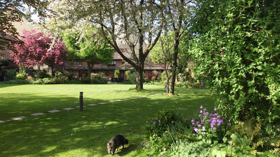 Communal Garden