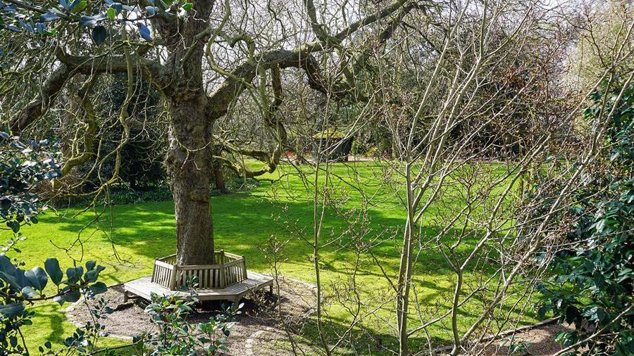 Communal Garden