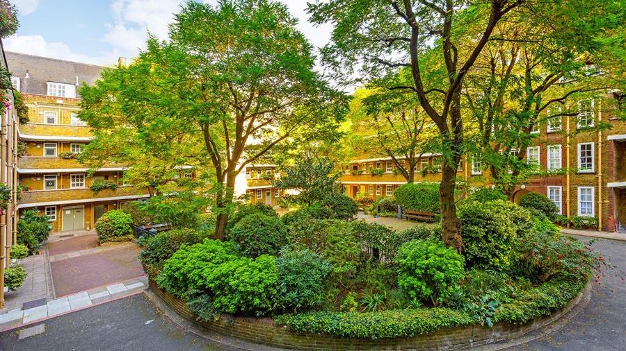 Communal Garden