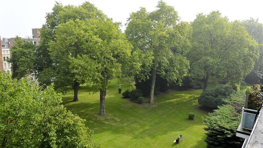 Communal Garden