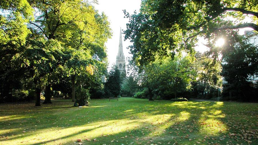 Communal Garden