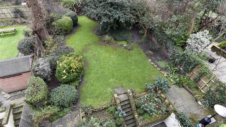 Communal Garden