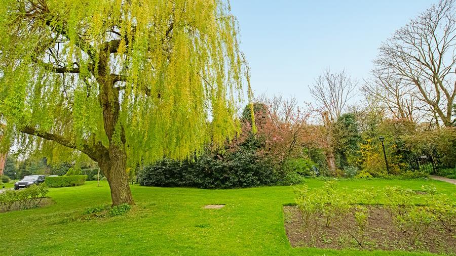 Communal Garden