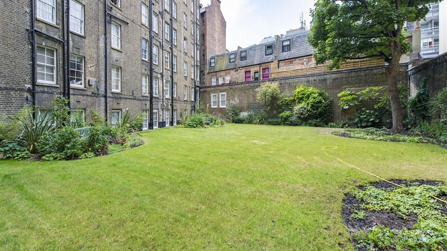 Communal Garden