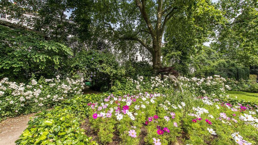 Communal Garden