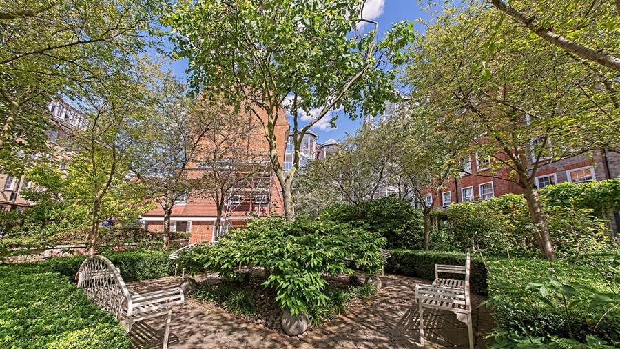 Communal Garden