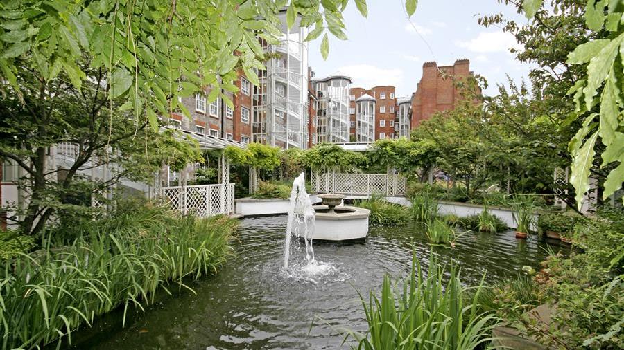 Communal Garden