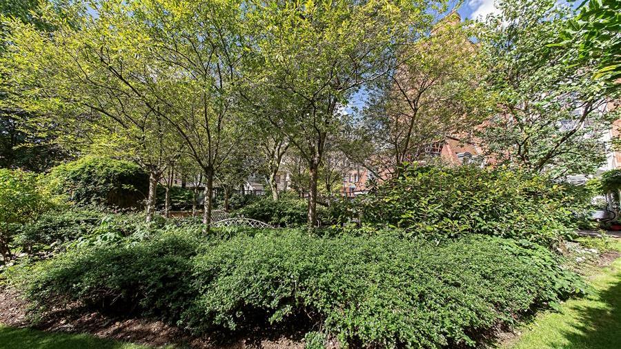 Communal Garden